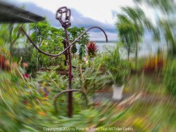 2020-34-6-Bearbeitet